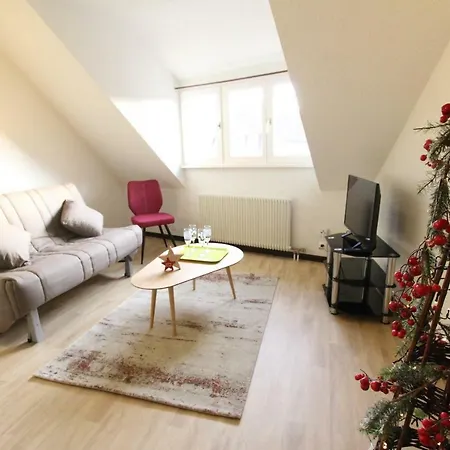 Διαμέρισμα Historic Center - Cosy Turenne 2 - Bookingalsace