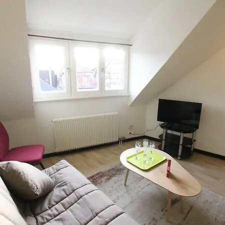 公寓 Historic Center - Cosy Turenne 2 - Bookingalsace *