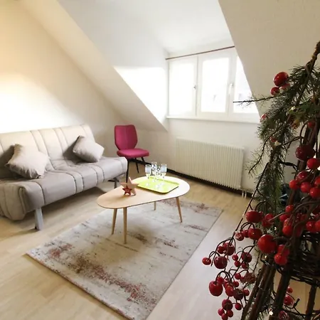 Historic Center - Cosy Turenne 2 - Bookingalsace * 科尔马